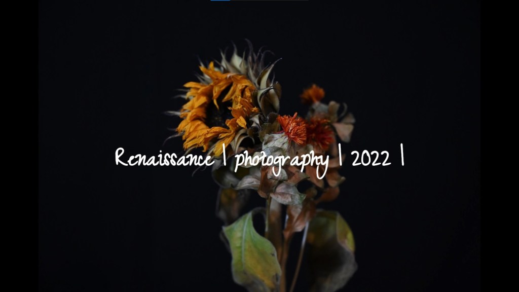 2022 ｜ Photography ｜ ReNaissance